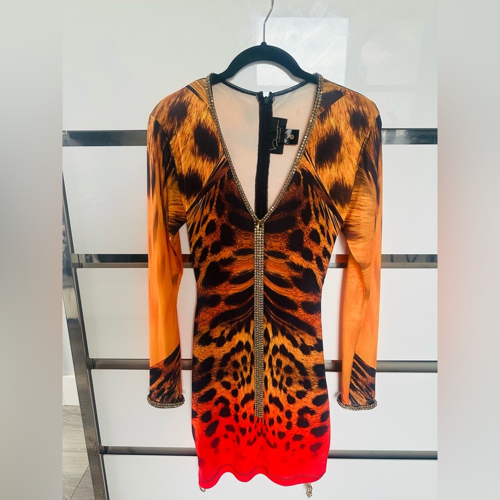 Animal Print Long Sleeve Dress